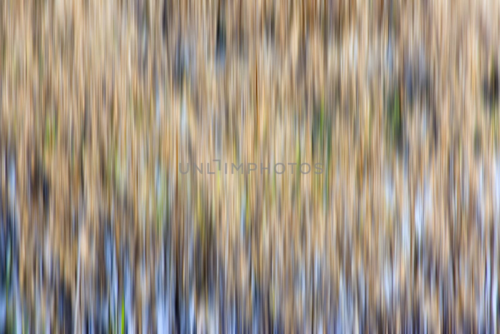 vertical motion blur abstract earth tone colors