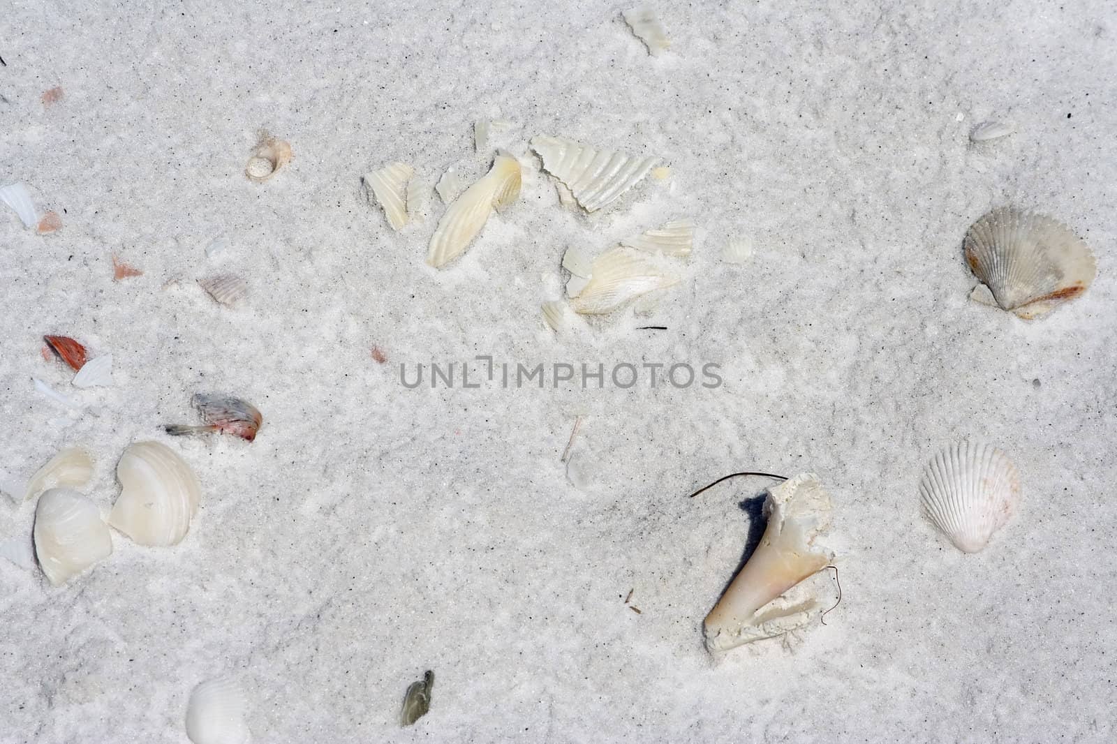 Beautiful beach close up abstract background nice detail