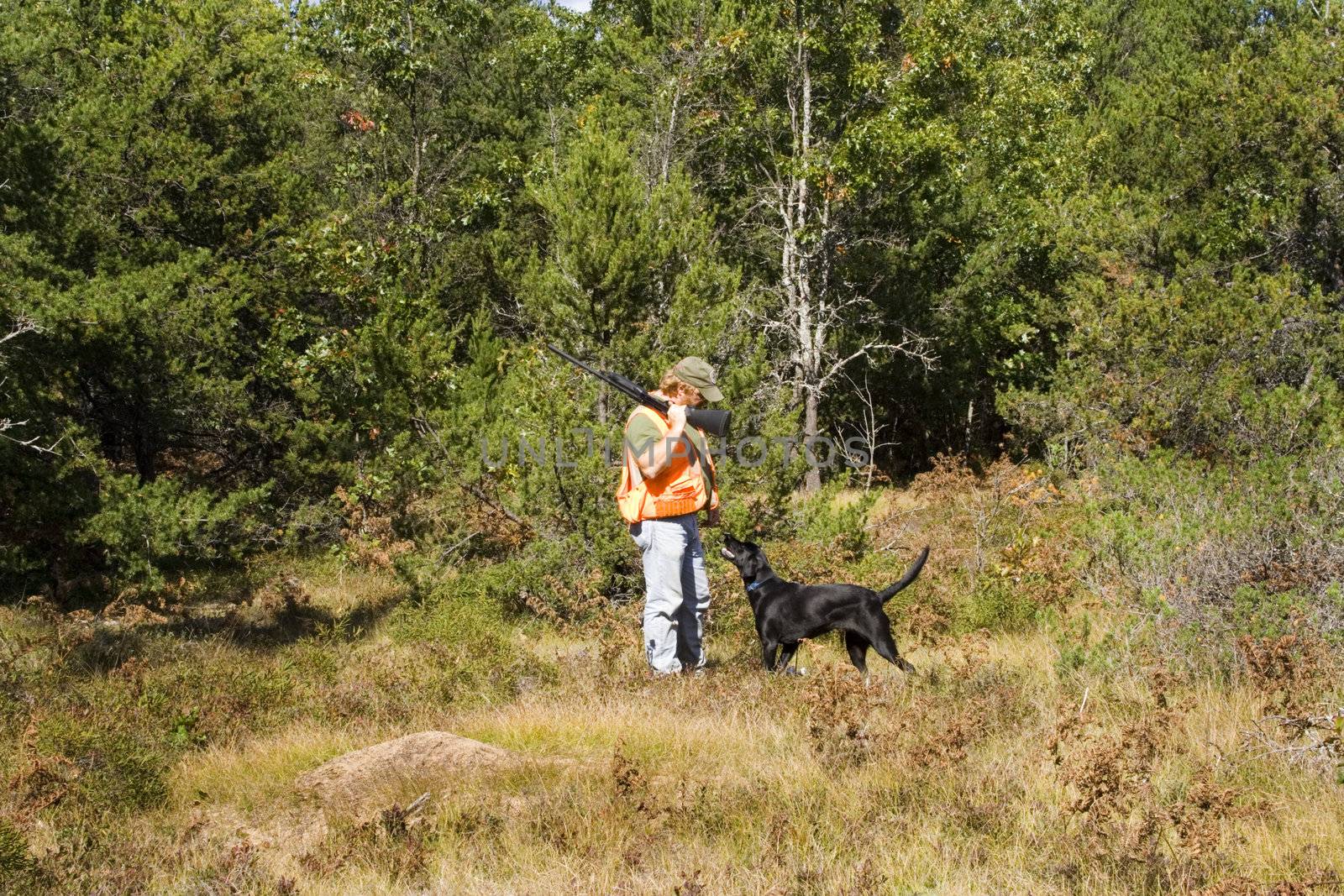 Man and dog out bird hunting in northern michigan