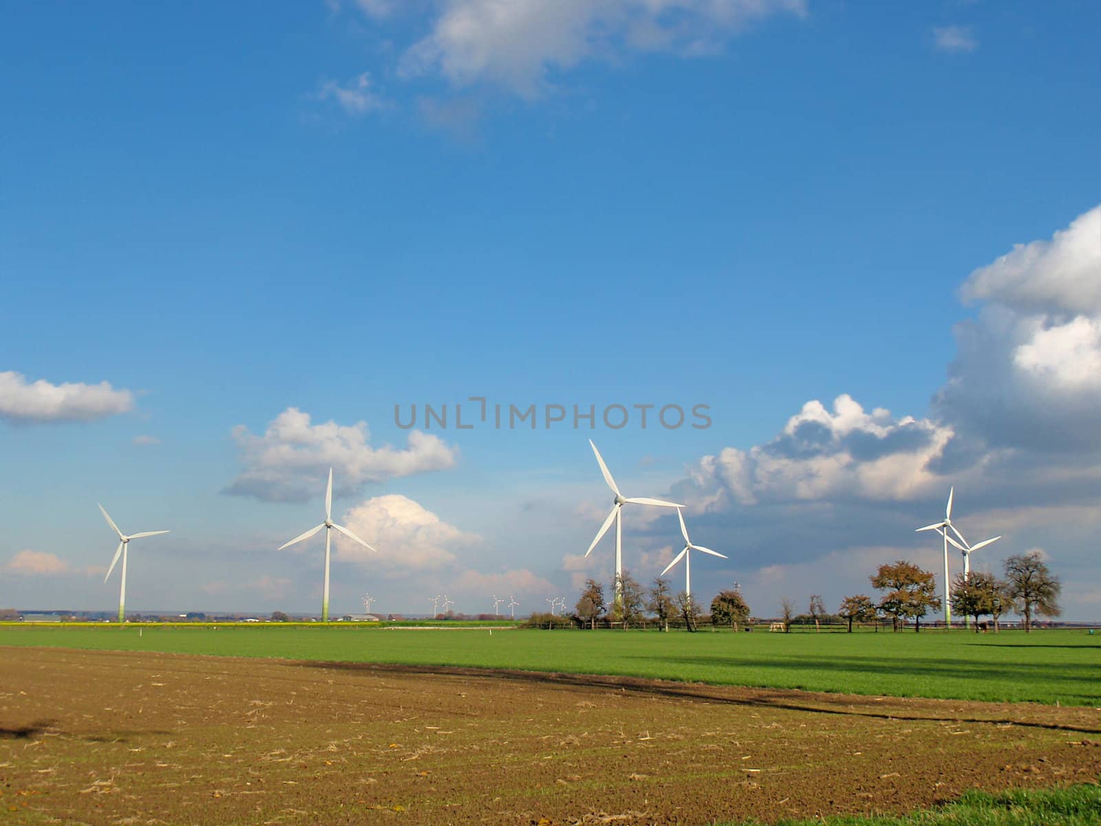 windmill park on a green meadow with blue sky