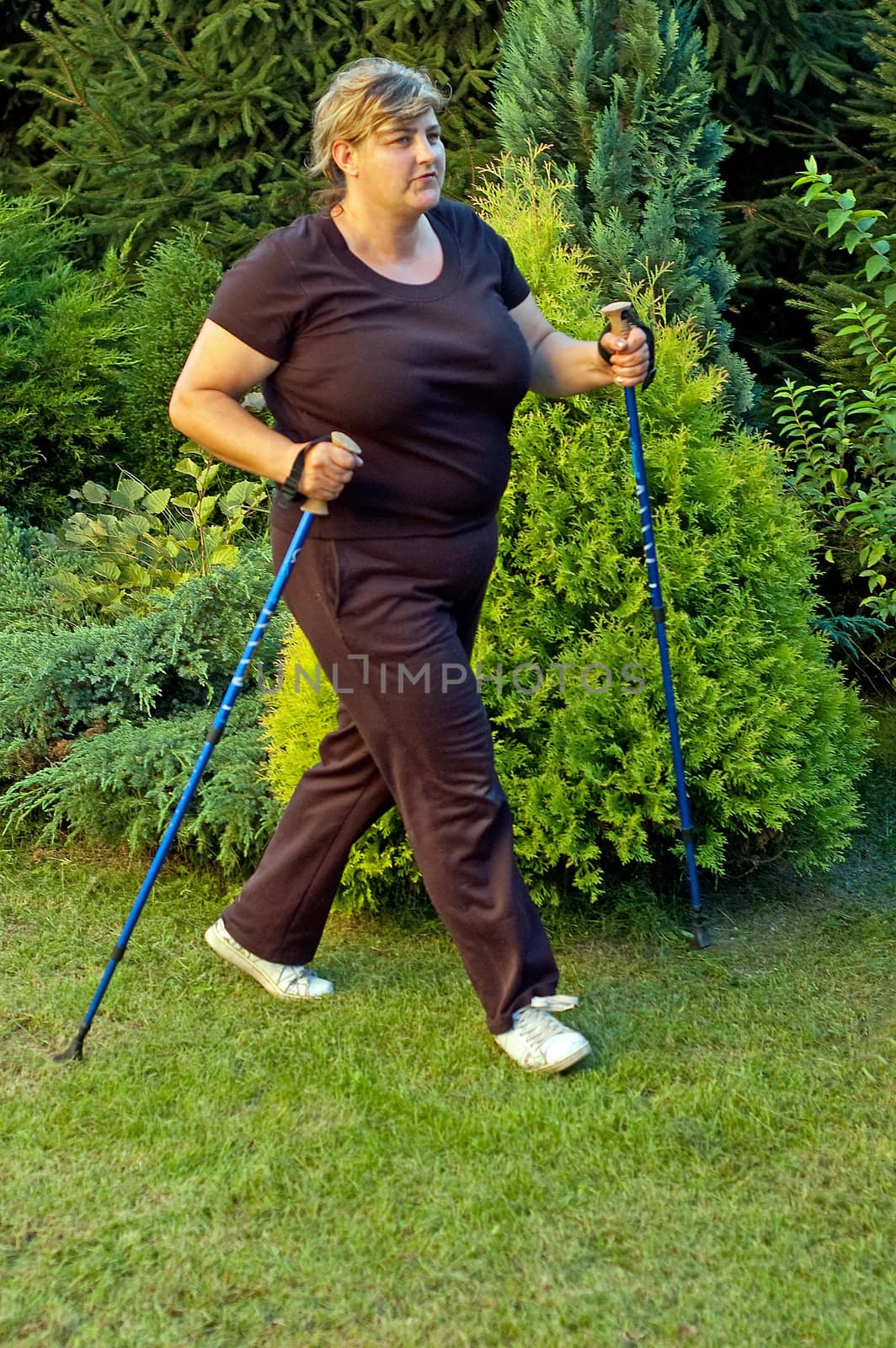 Young planting woman nordic all over forest