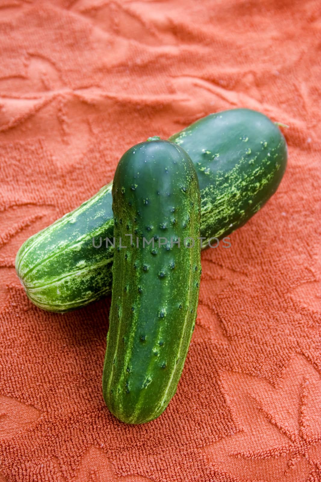 Pair of cucumbers by snokid