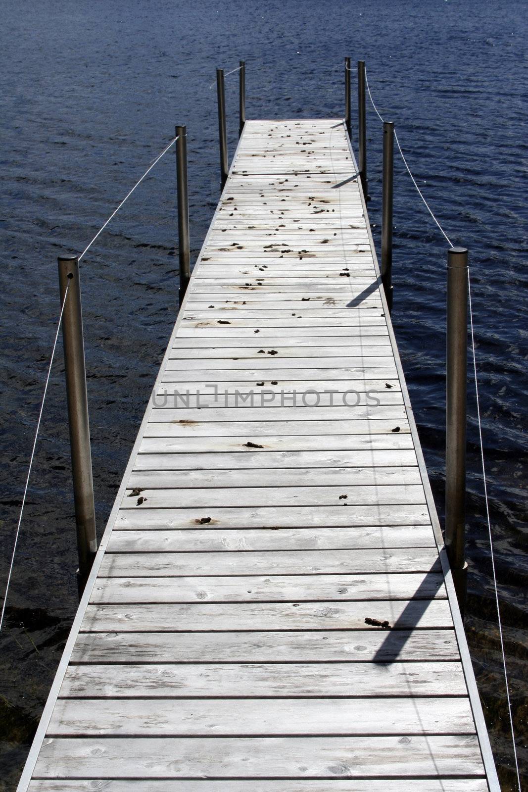 long dock with goose droppings in northern michigan on a small lake