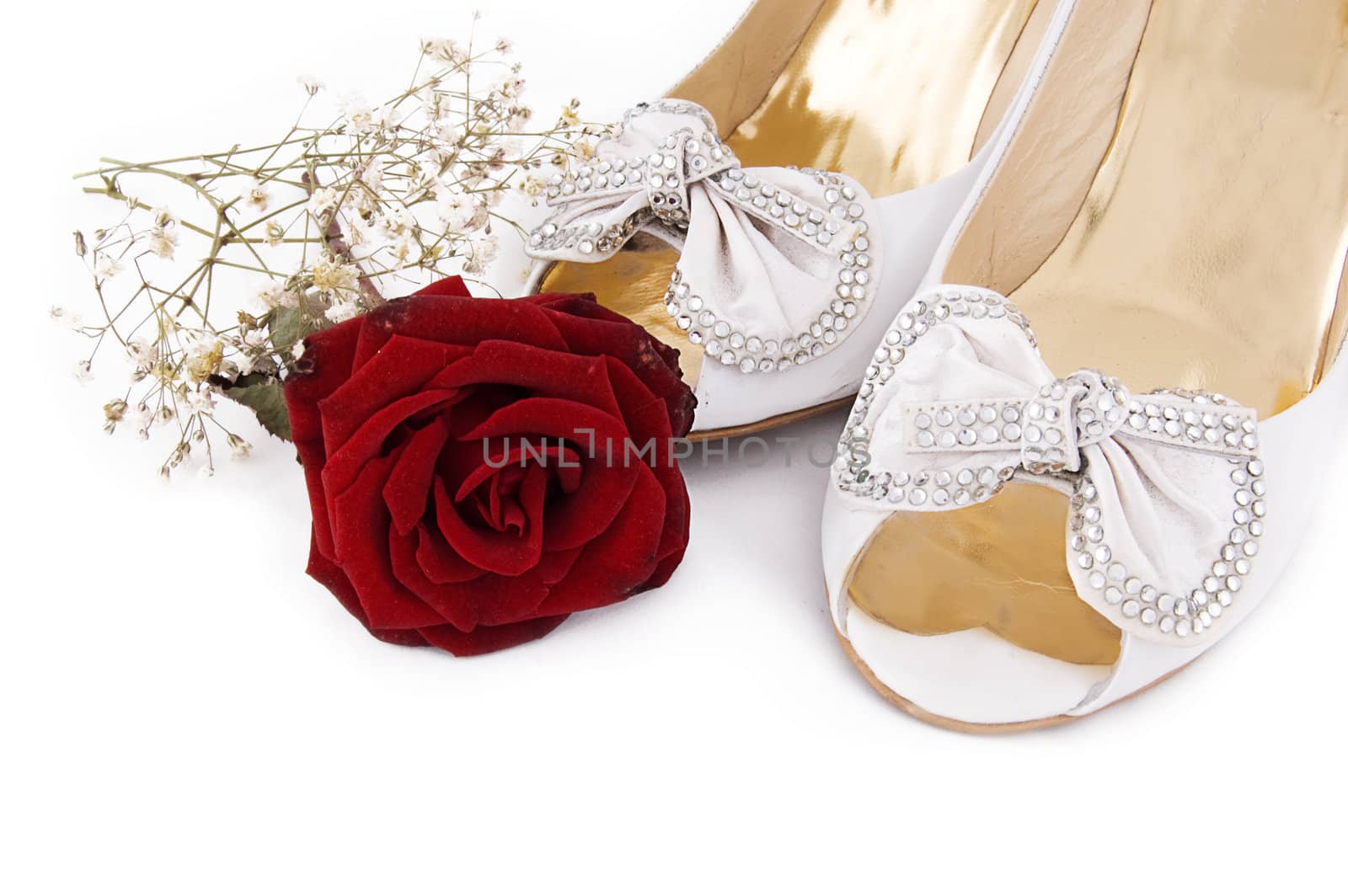 Wedding shoes and roses over white