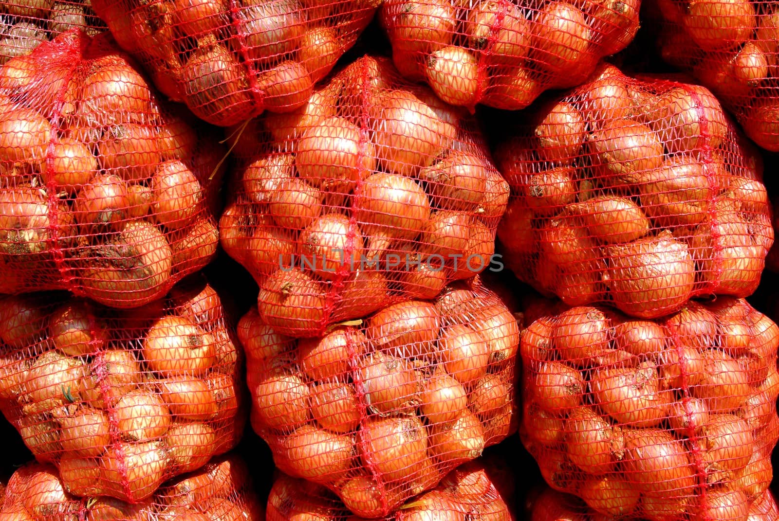 a lot of onion at the market