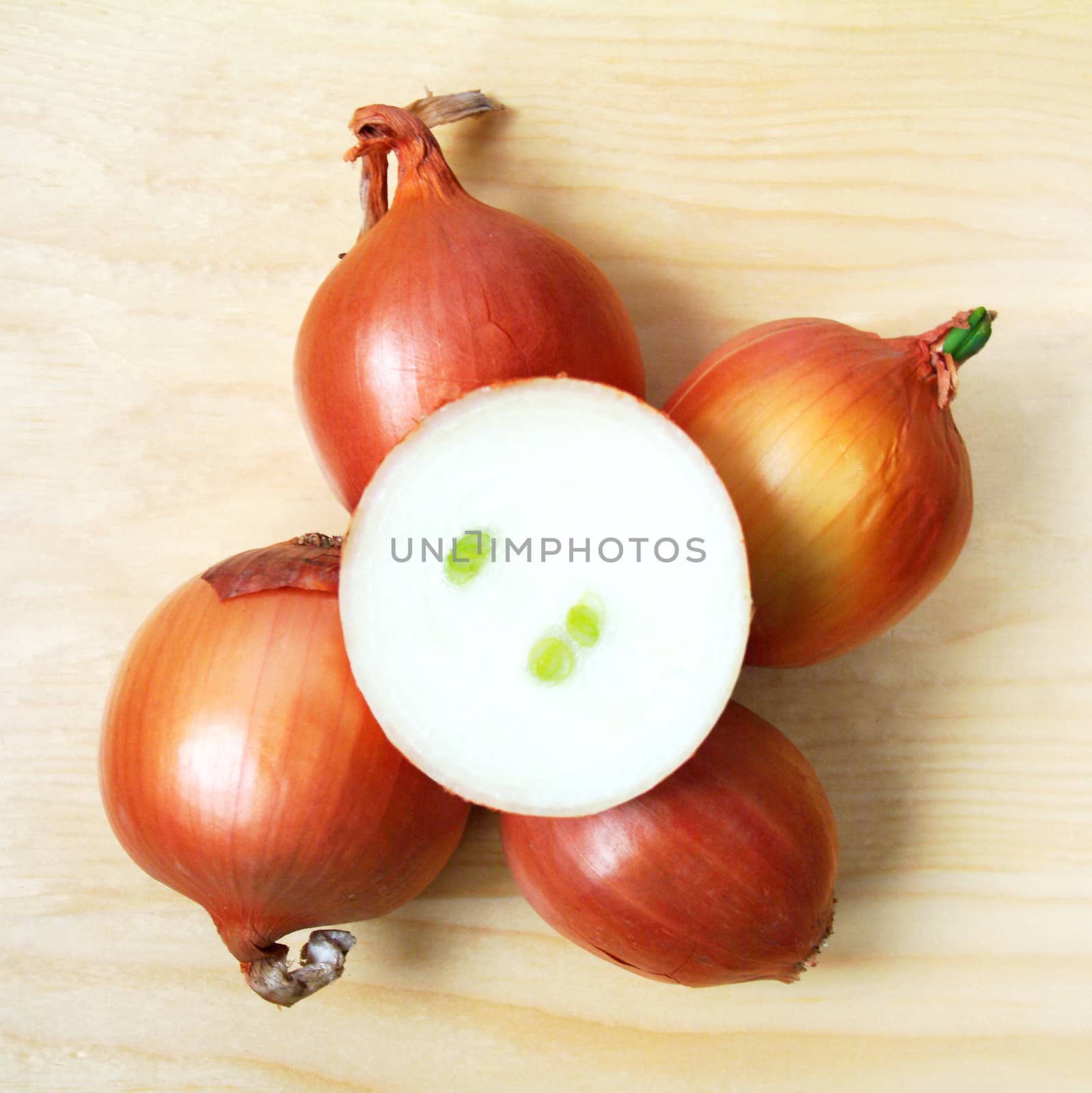 organic onion at the table