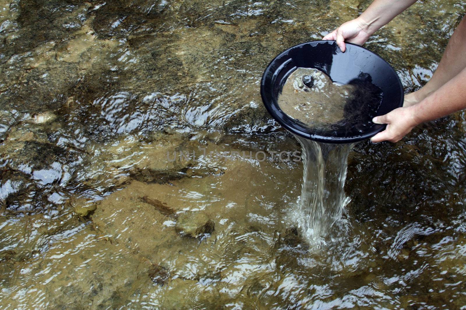 Panning for gold in a northern michigan stream