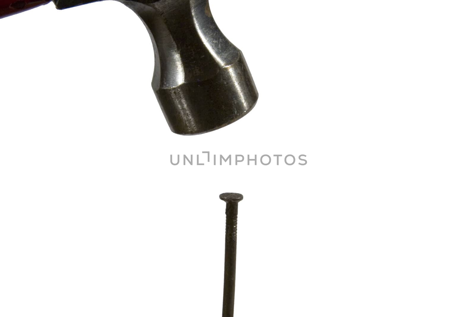 close up of a hammer and nail isolated on white back ground