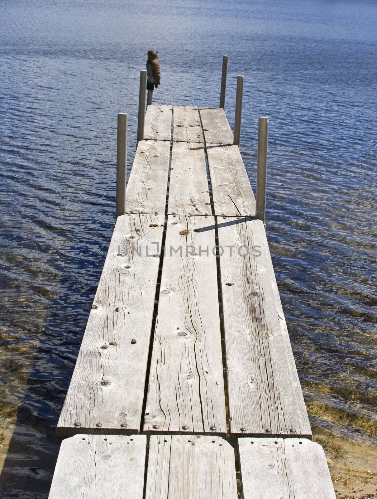 long dock with bird droppings and owl decoy