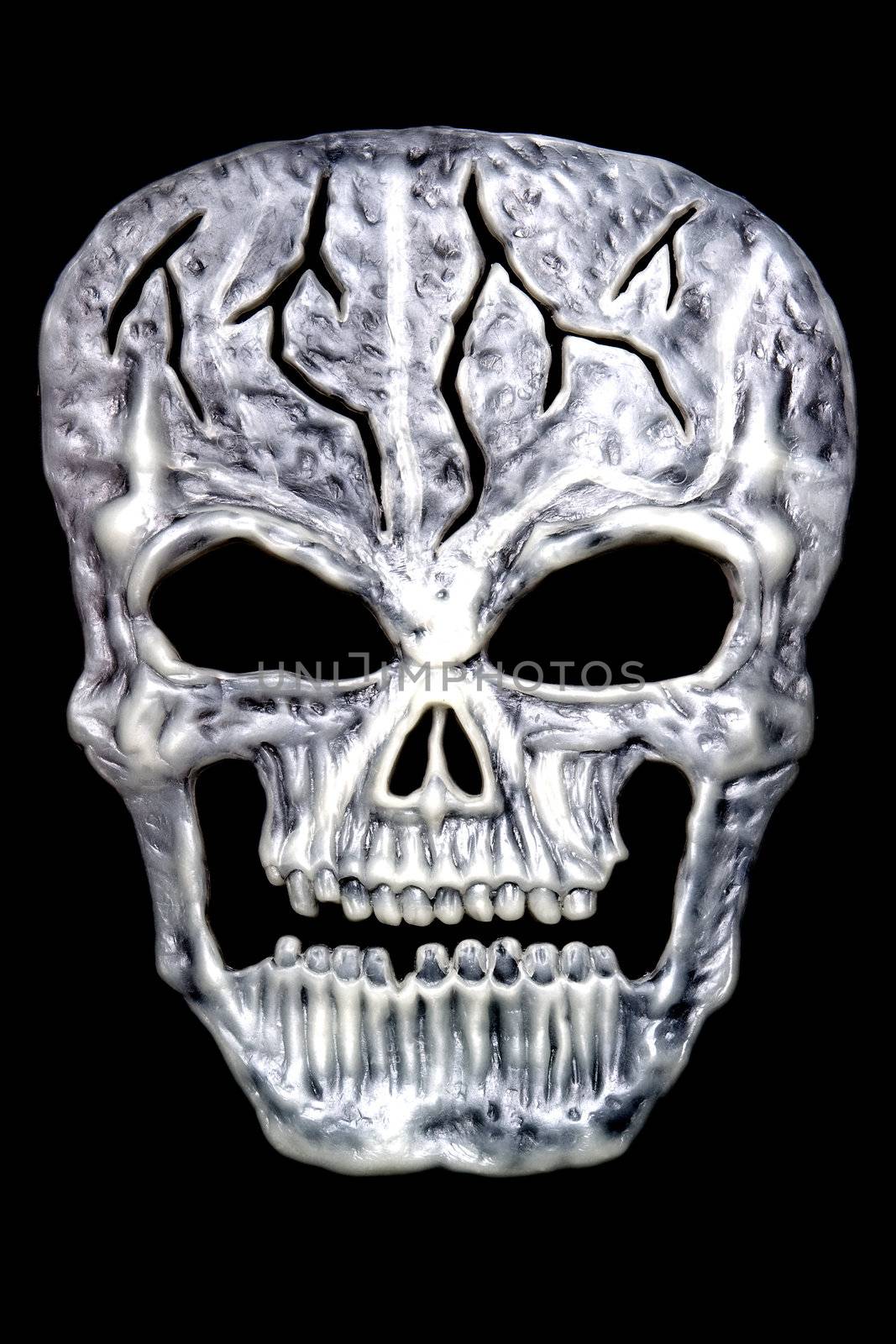 a plastic decoration skull for halloween