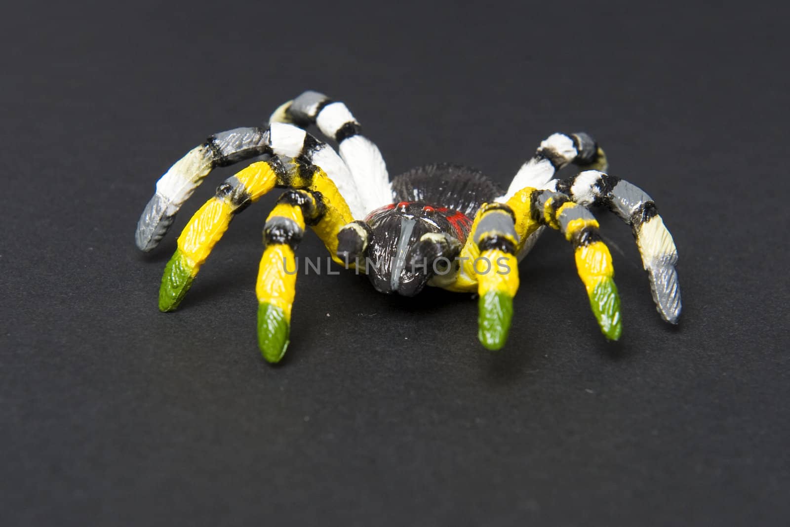a colorful plastic spider on black