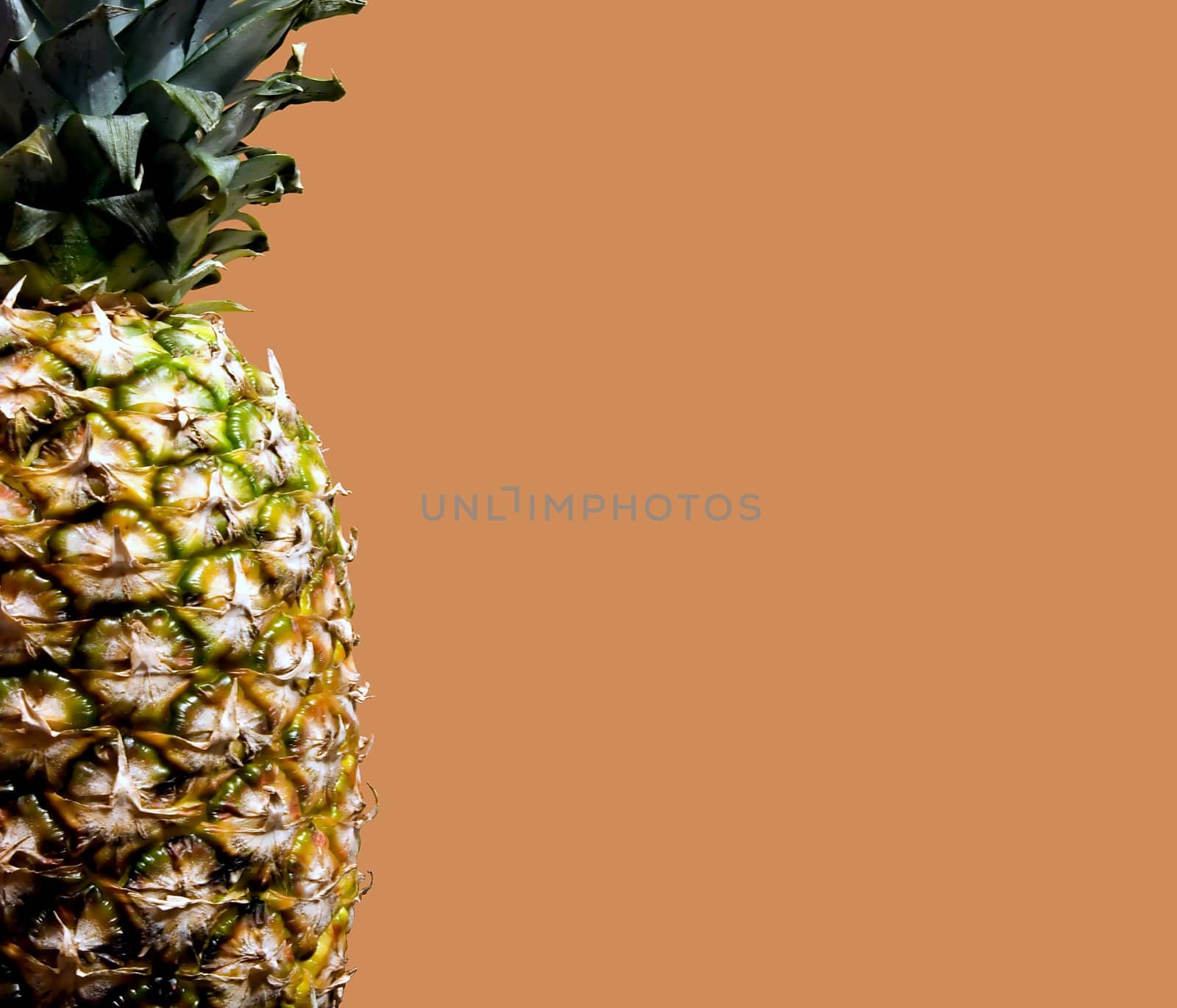 orange pineapple by snokid