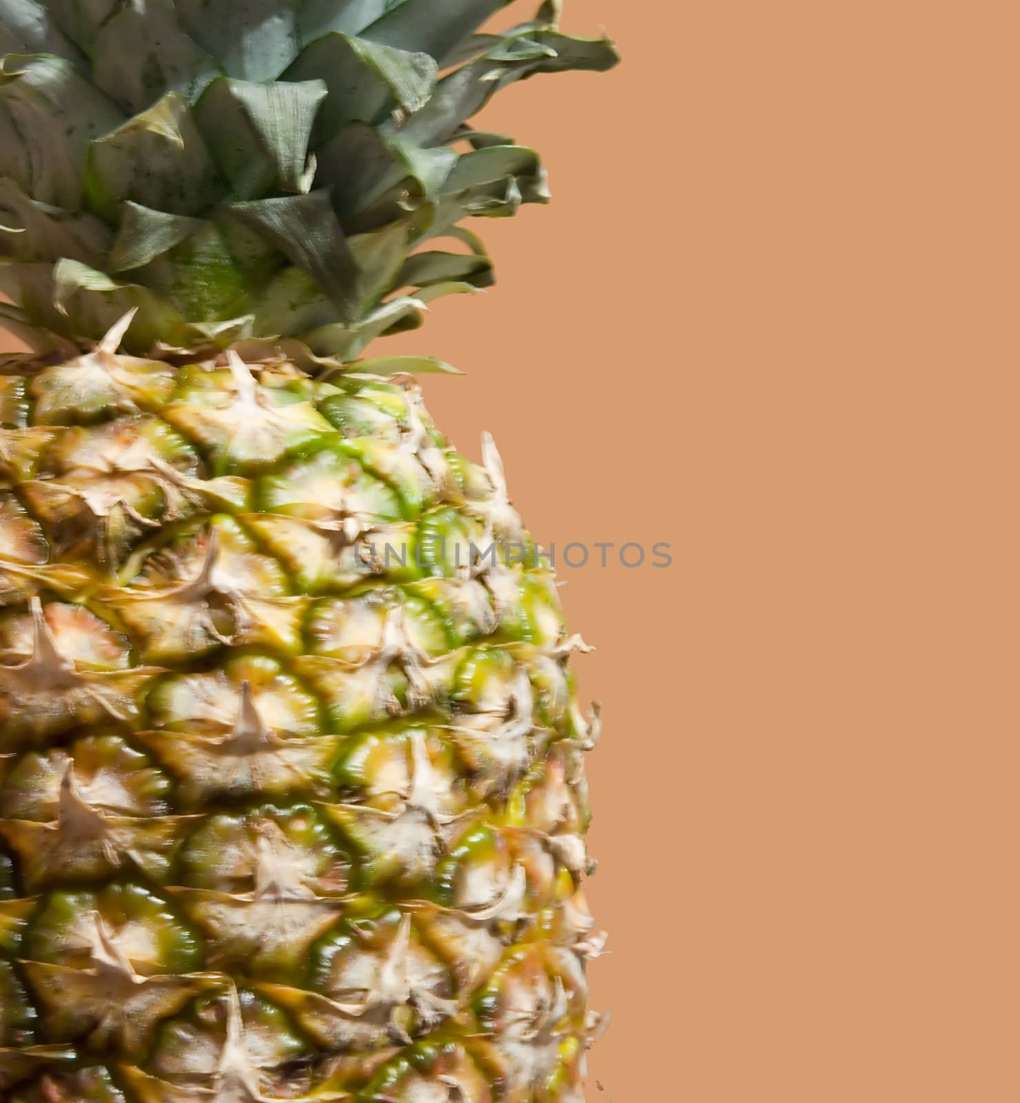 pineapple close up on an orange background nice detail