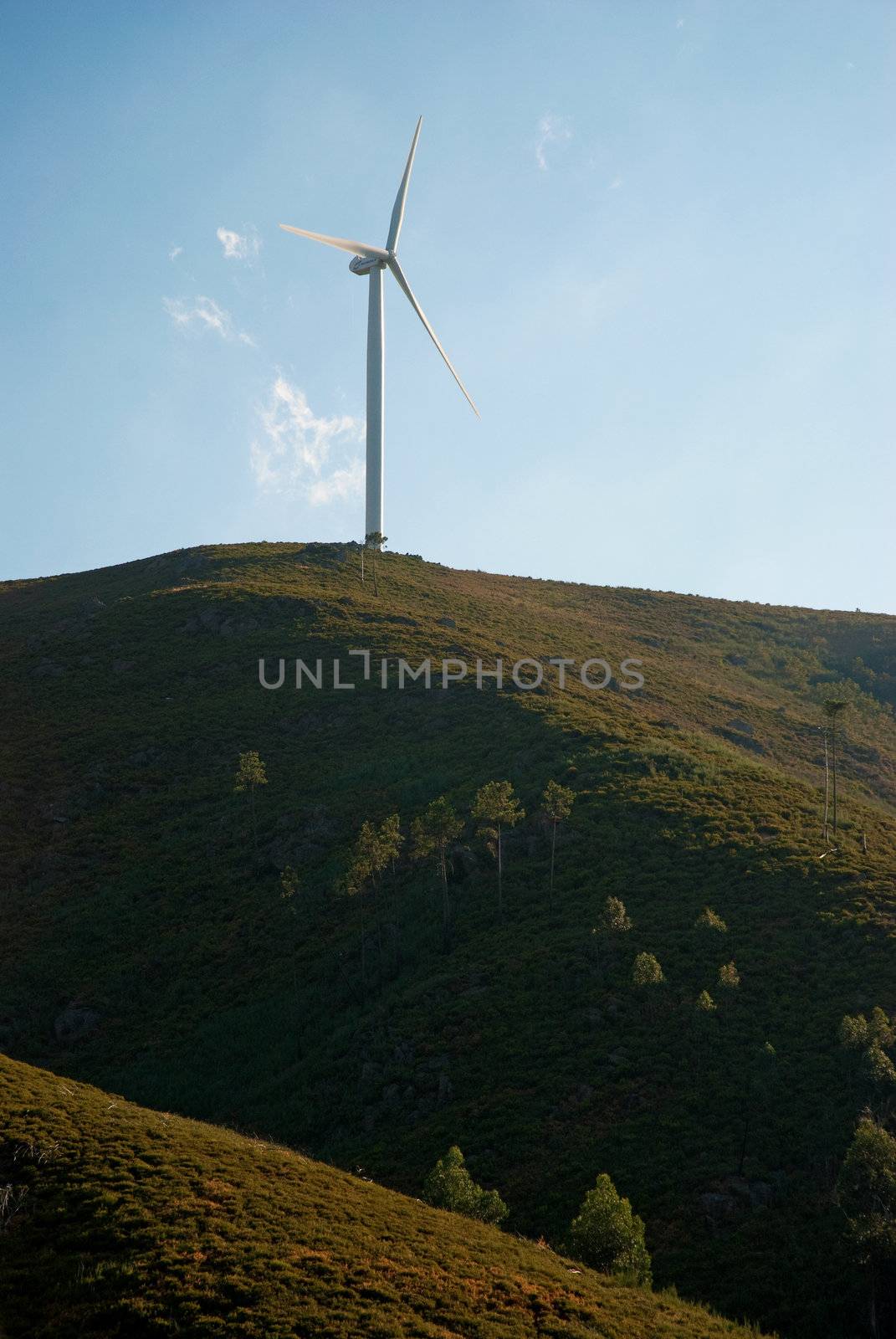 Wind turbine on a hill generating electricity.