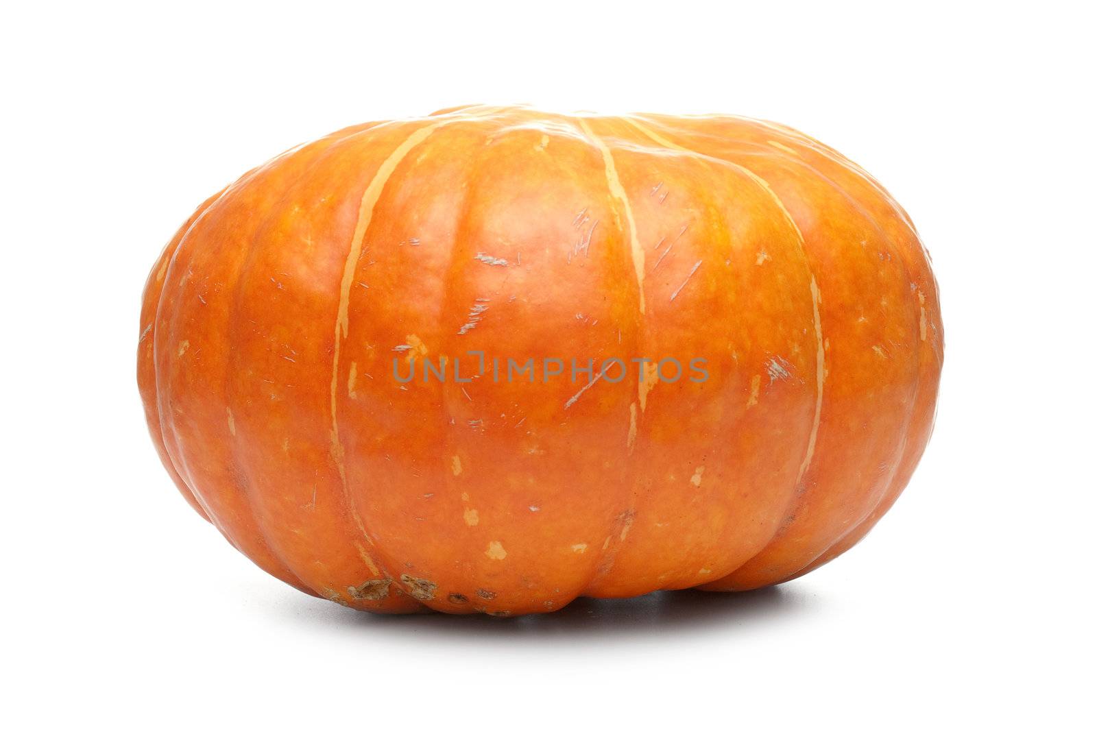 Orange pumpkin isolated on white background.