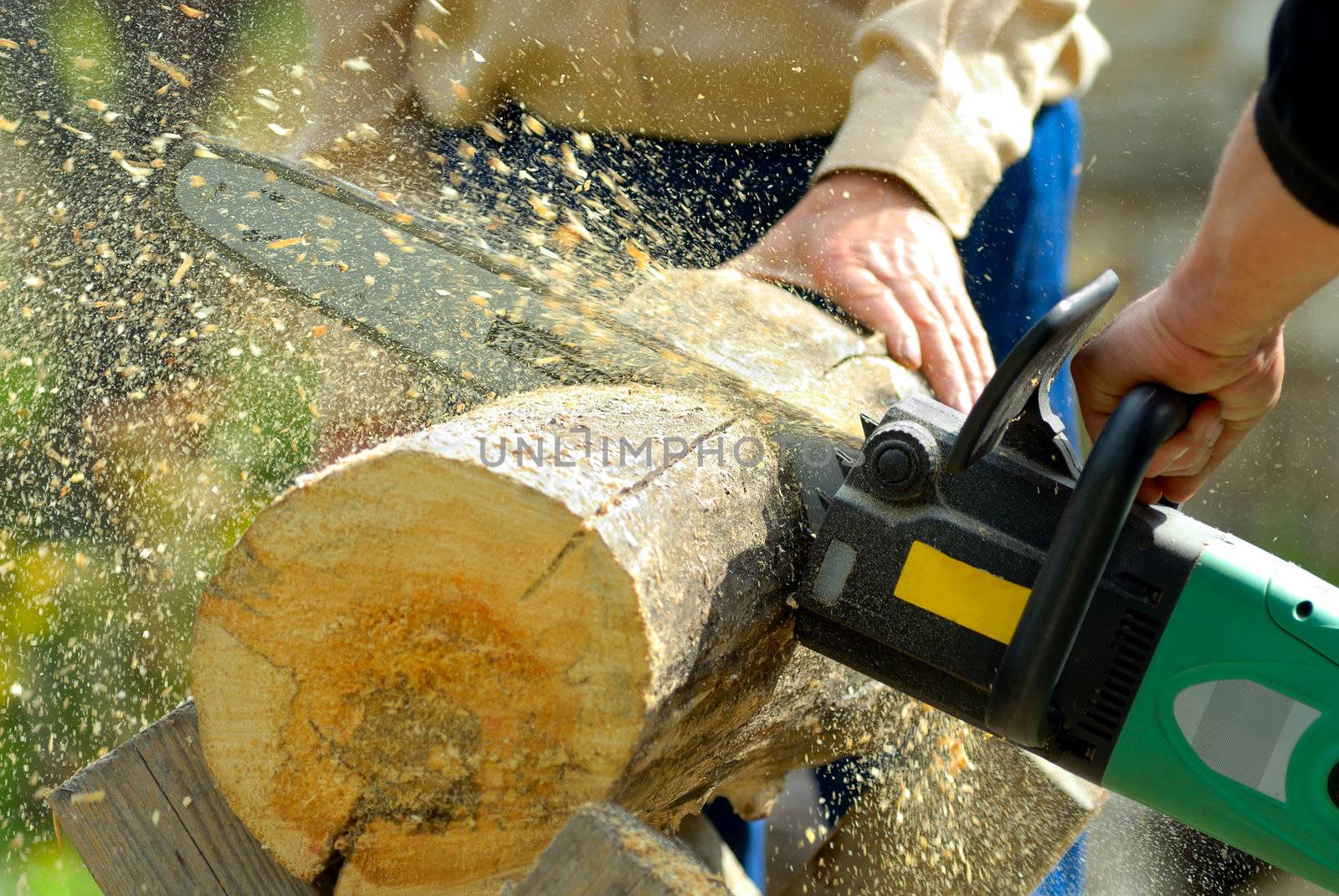 two lumberjacks at work, loggers