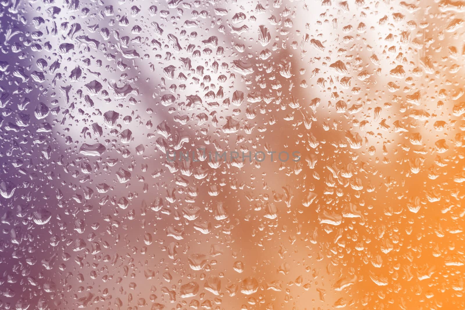 Rain drops on glass close up nice background concept