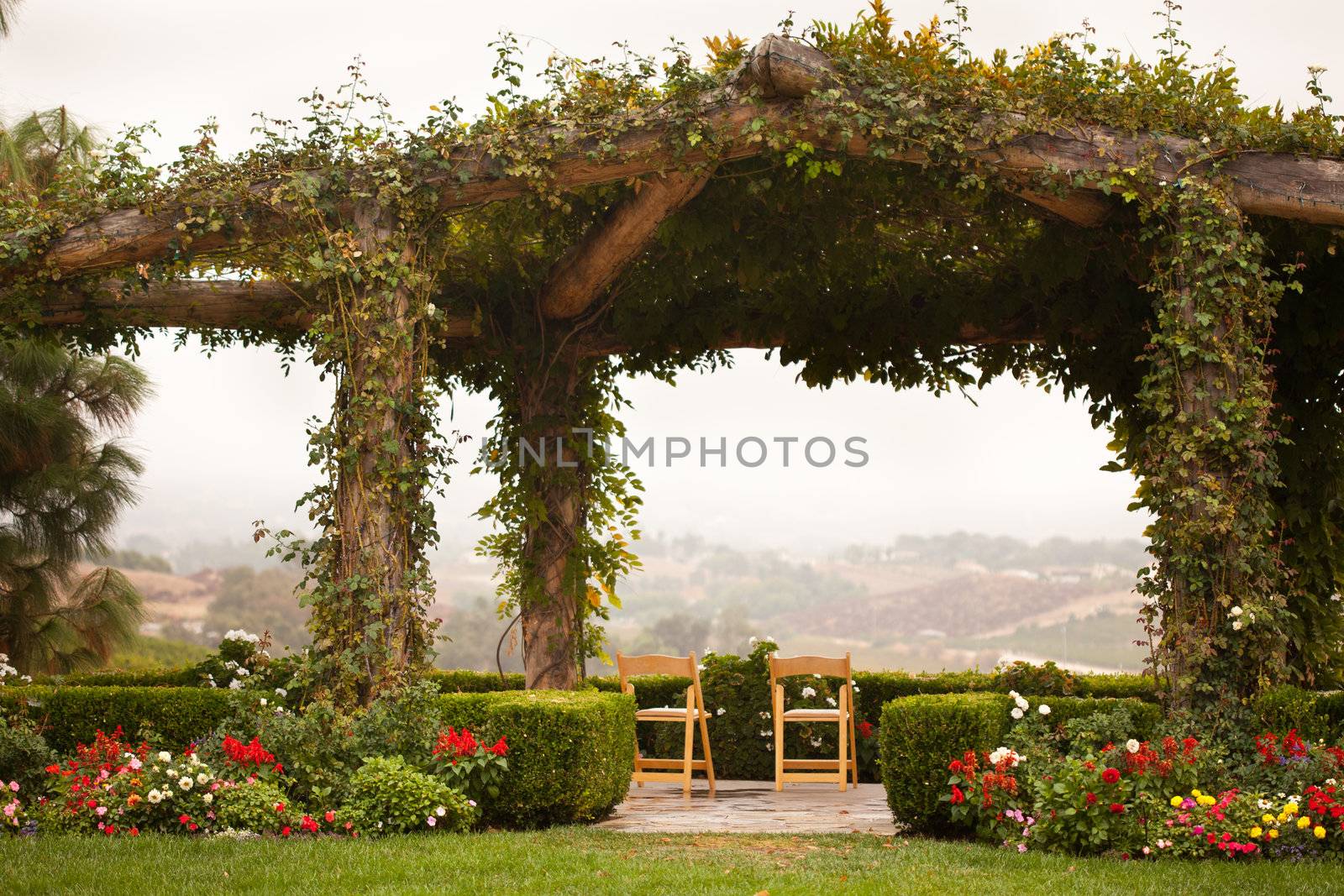Vine Covered Patio and Chairs with Country View by Feverpitched