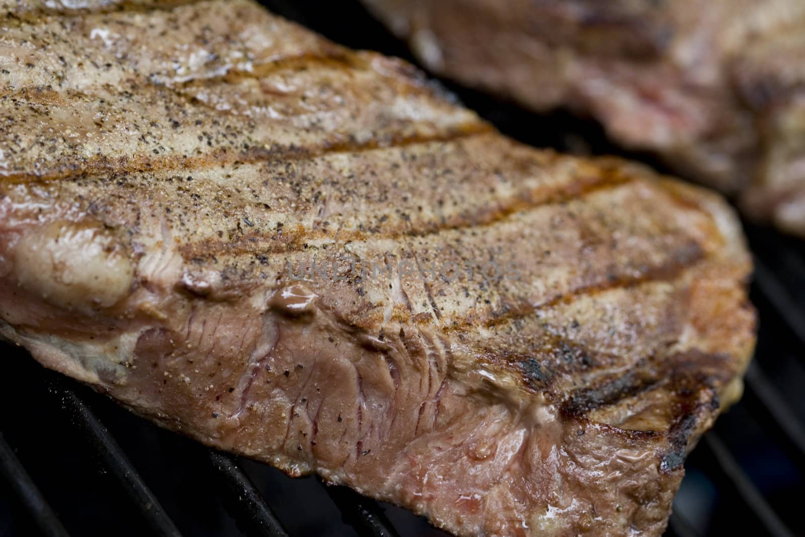Grilling steaks on the grill nice cuts of meat close up shot shallow DOF
