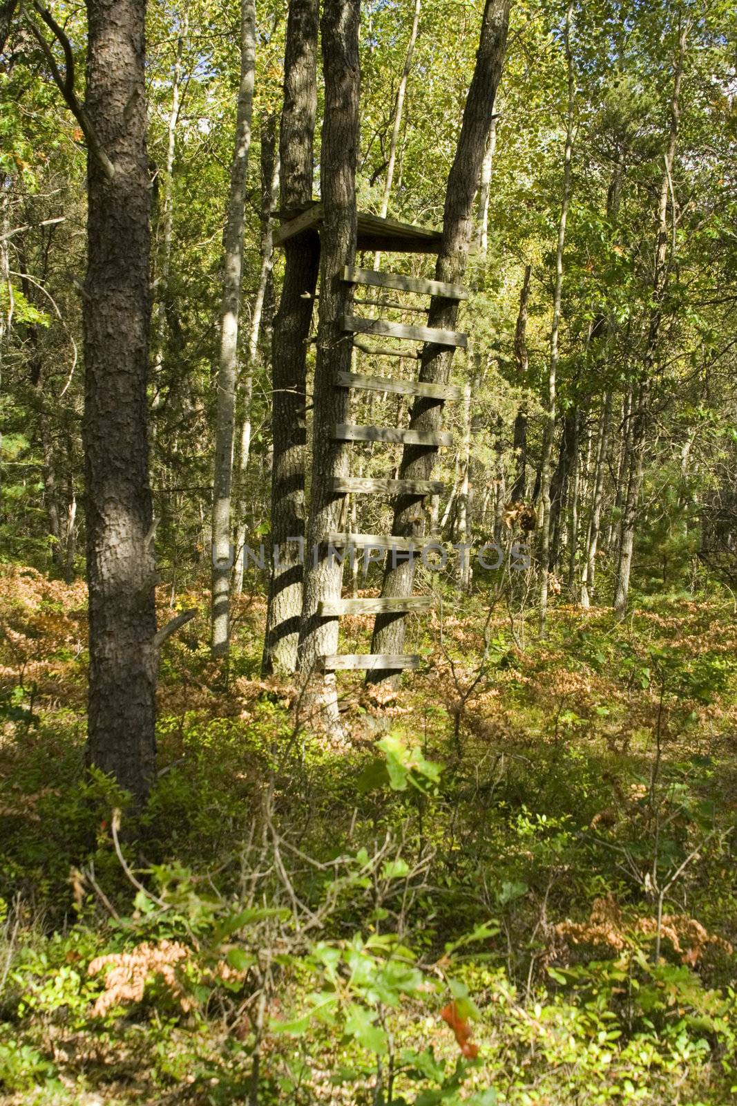 Hunting tree stand, used to hunt deer in northern Michigan