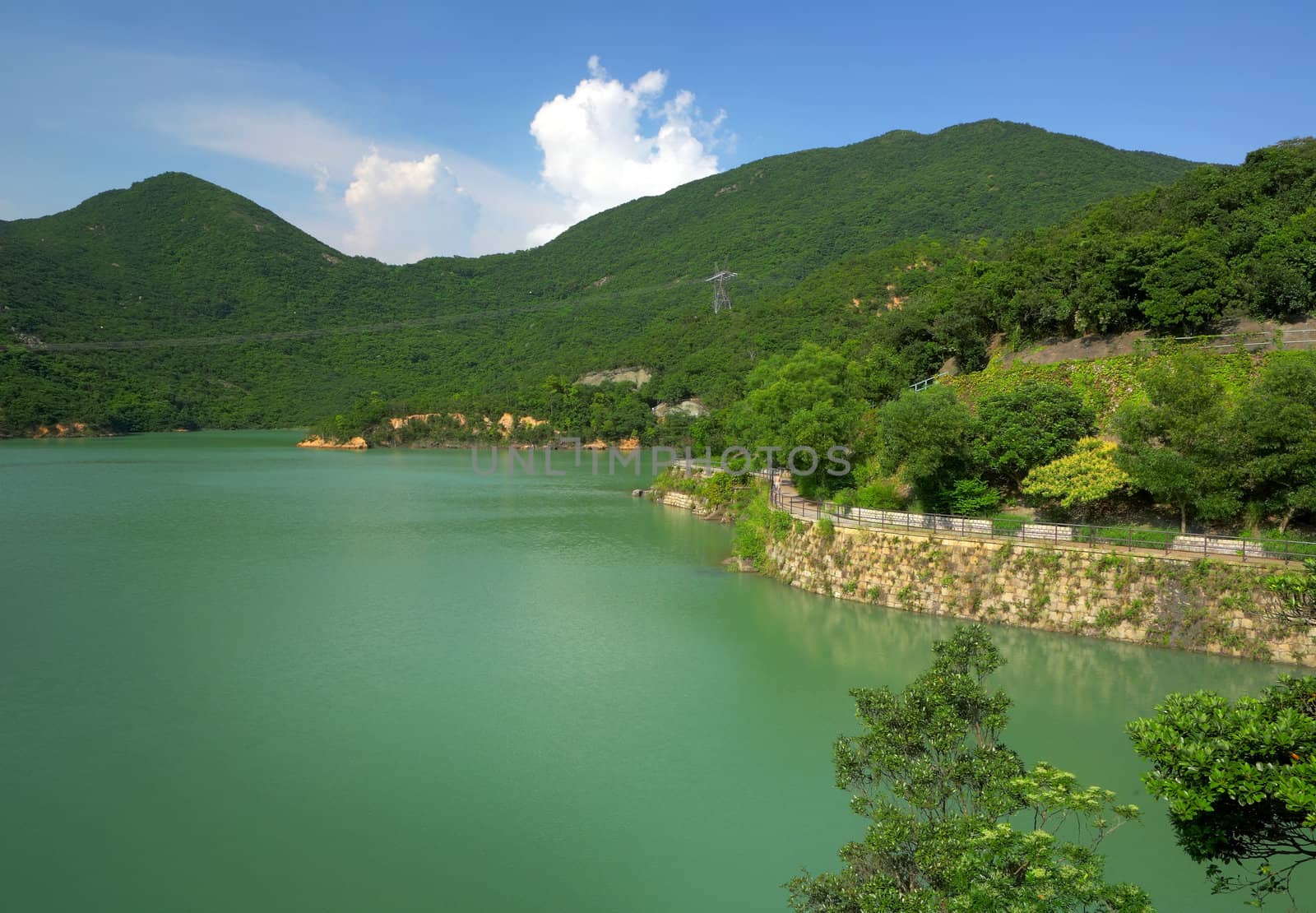 lake in forest
