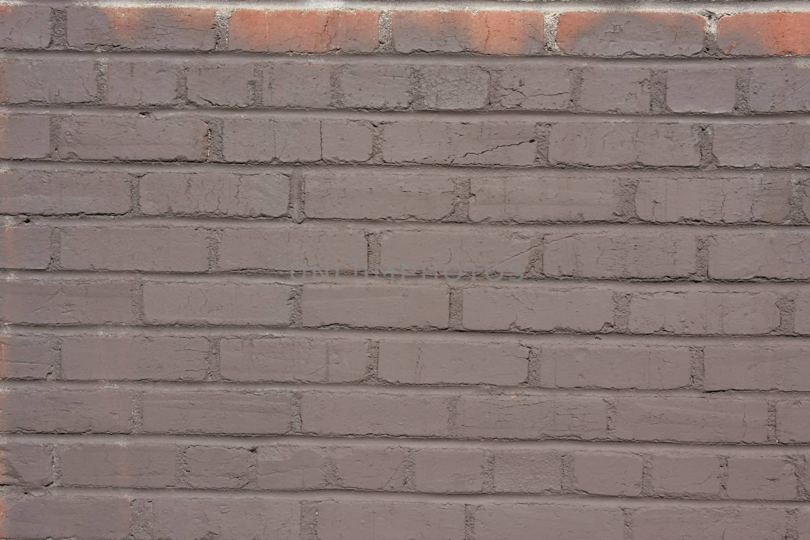 Close up of bricks/concrete. Would make a great background.