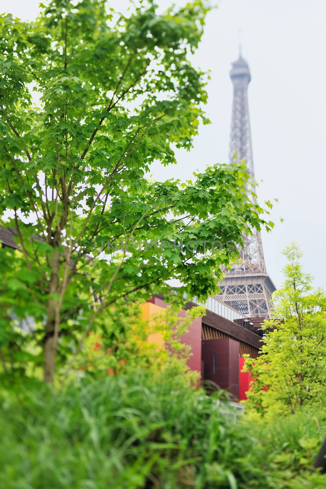 View of Eiffel Tower across trees . Photo with tilt-shift lens