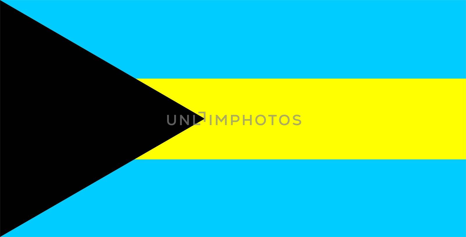 2D illustration of the flag of Bahamas vector