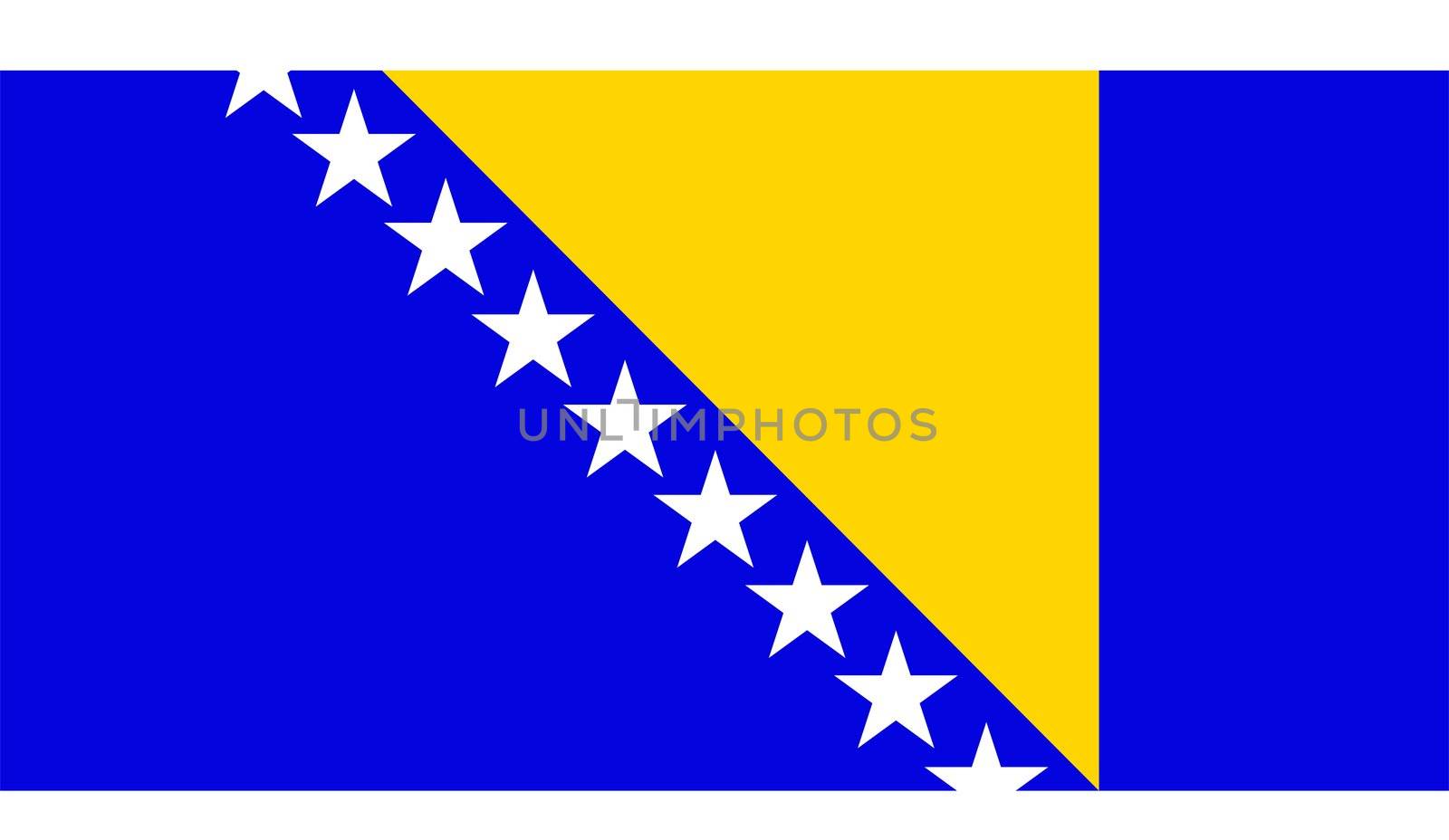 2D illustration of the flag of Bosnia And Herzegovina vector