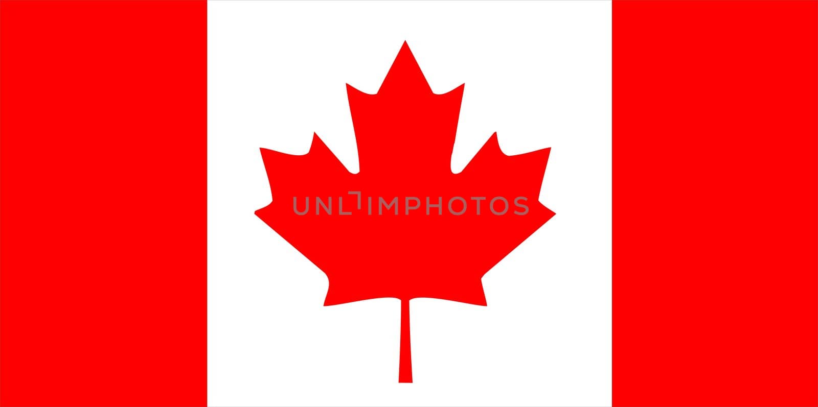2D illustration of the flag of Canada vector
