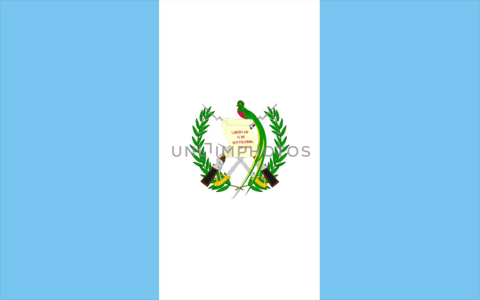 Flag of Guatemala. Illustration over white background