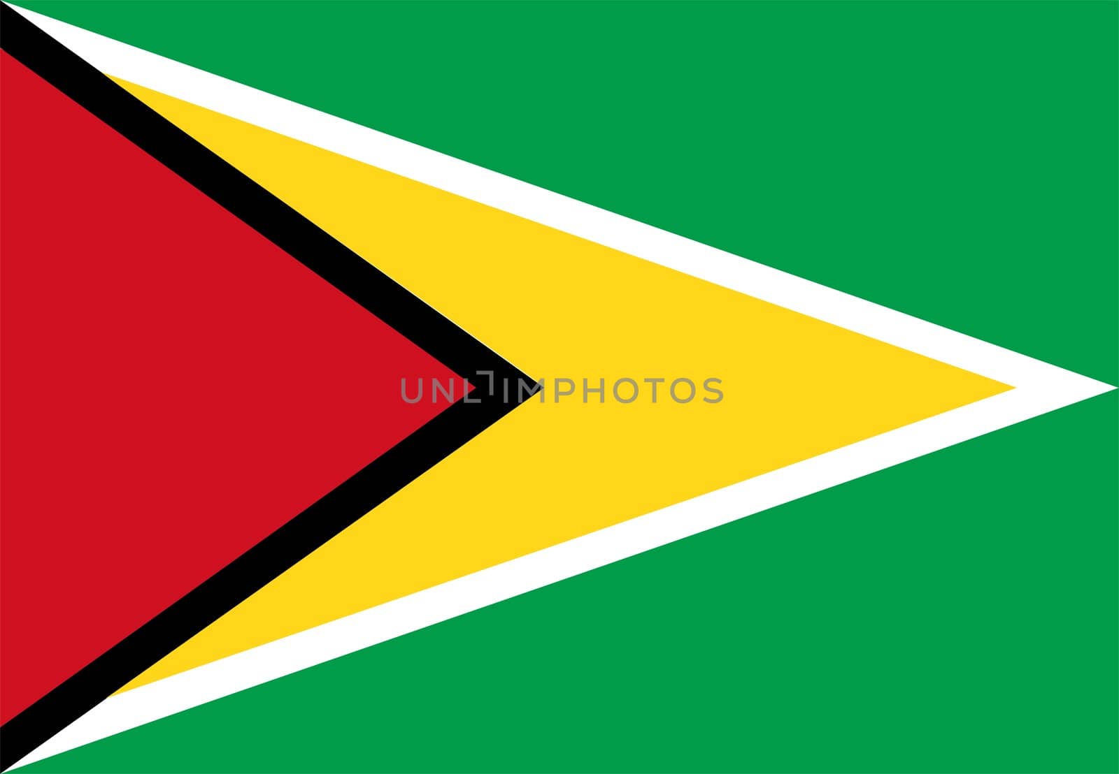 2D illustration of the flag of Guyana vector
