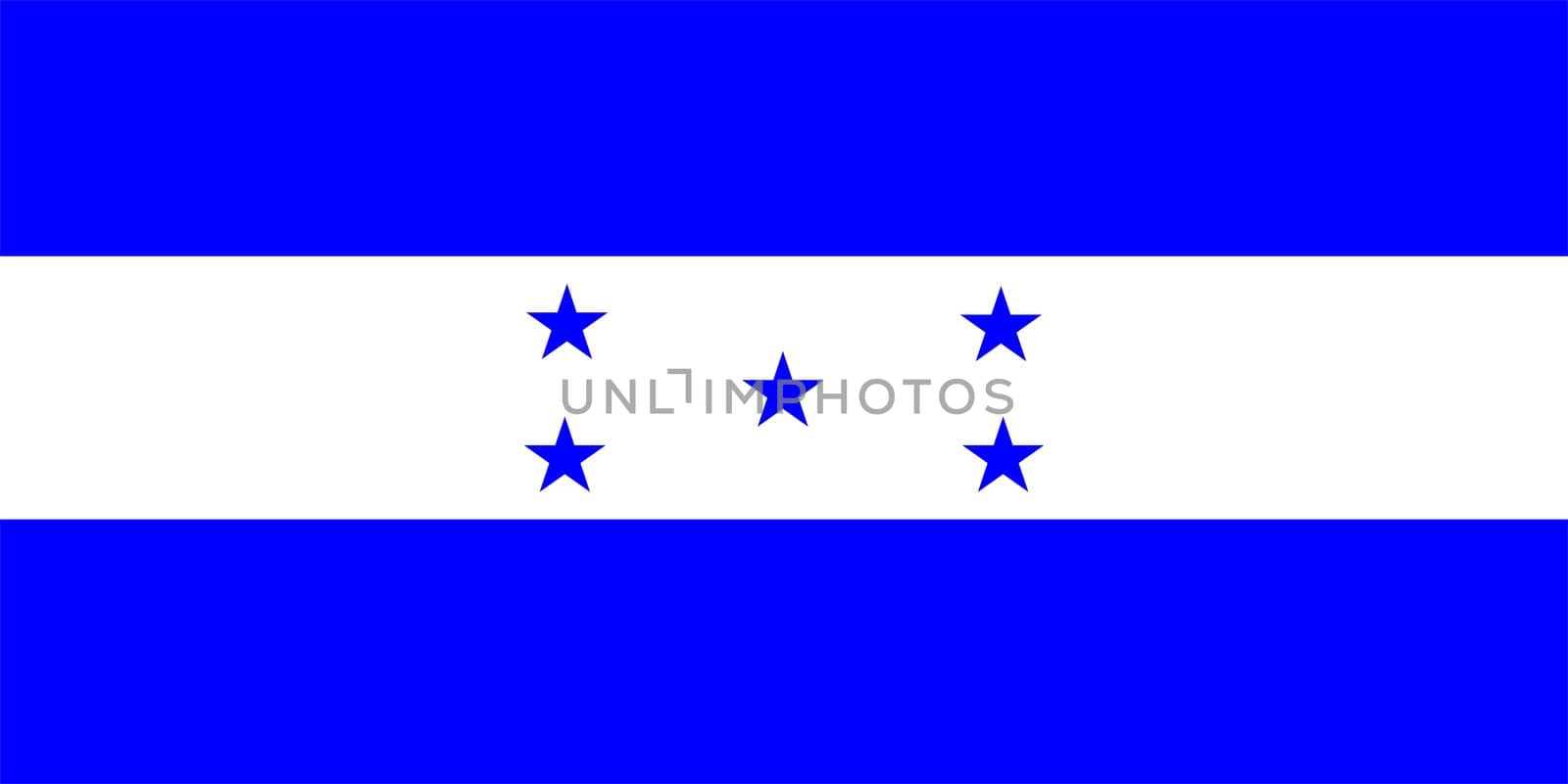 2D illustration of the flag of Honduras vector