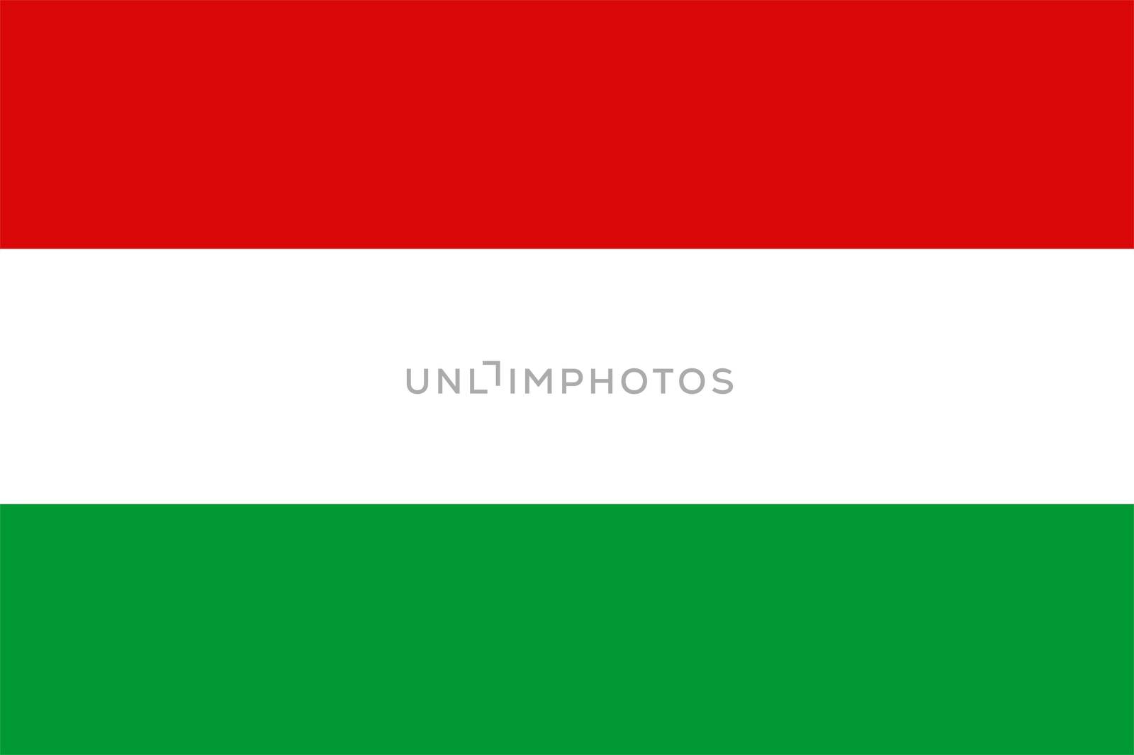 2D illustration of the flag of Hungary vector