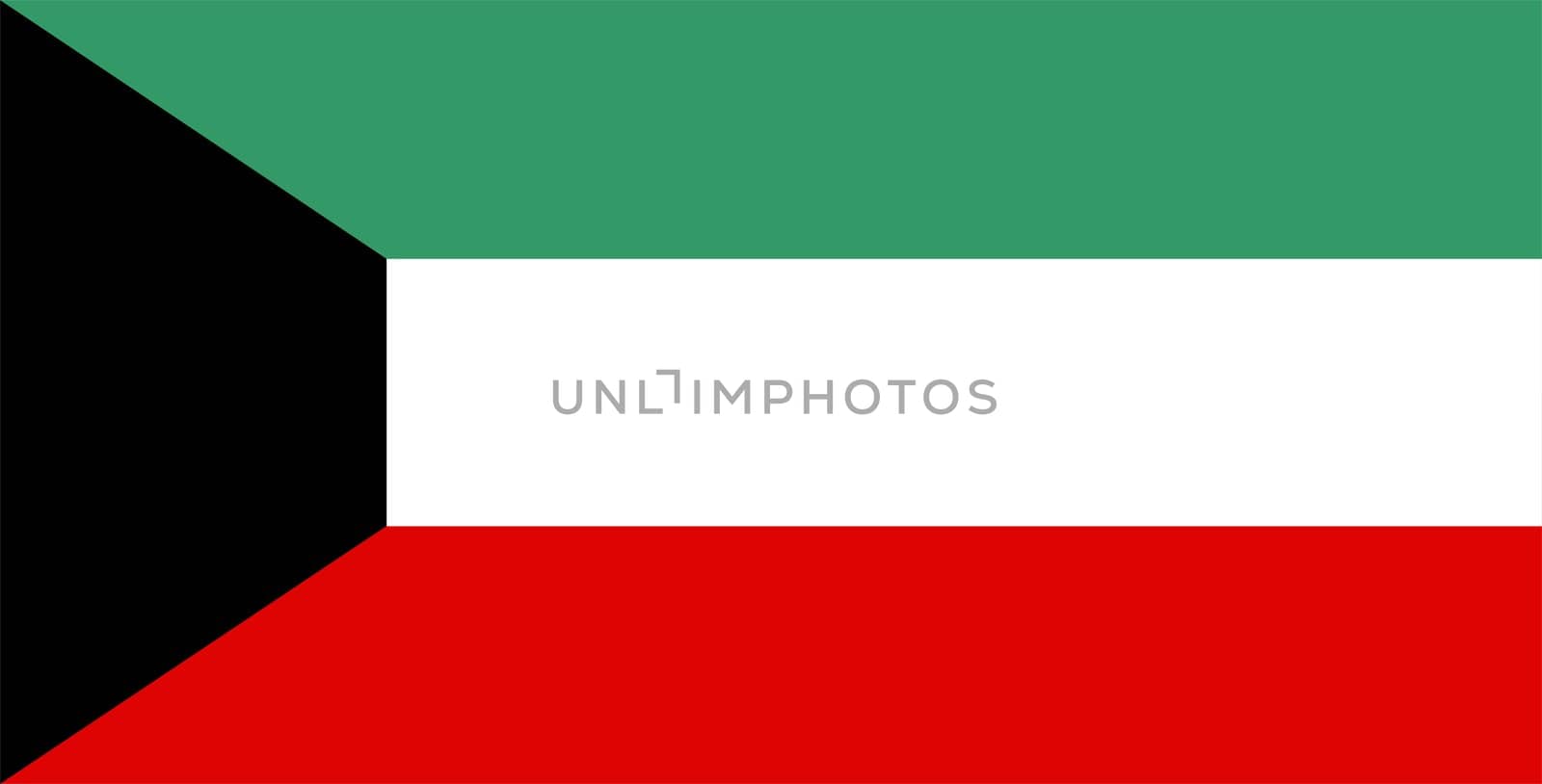 Kuwait national flag. Illustration on white background