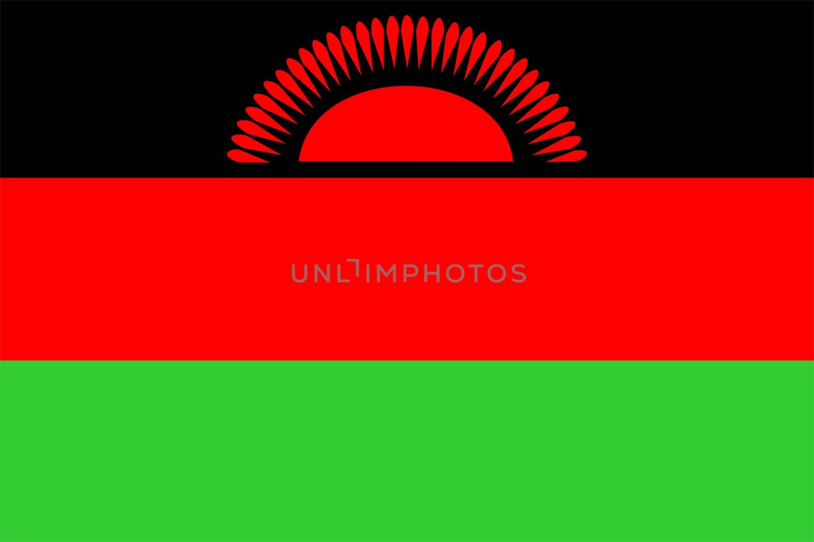 2D illustration of the flag of Malawi vector