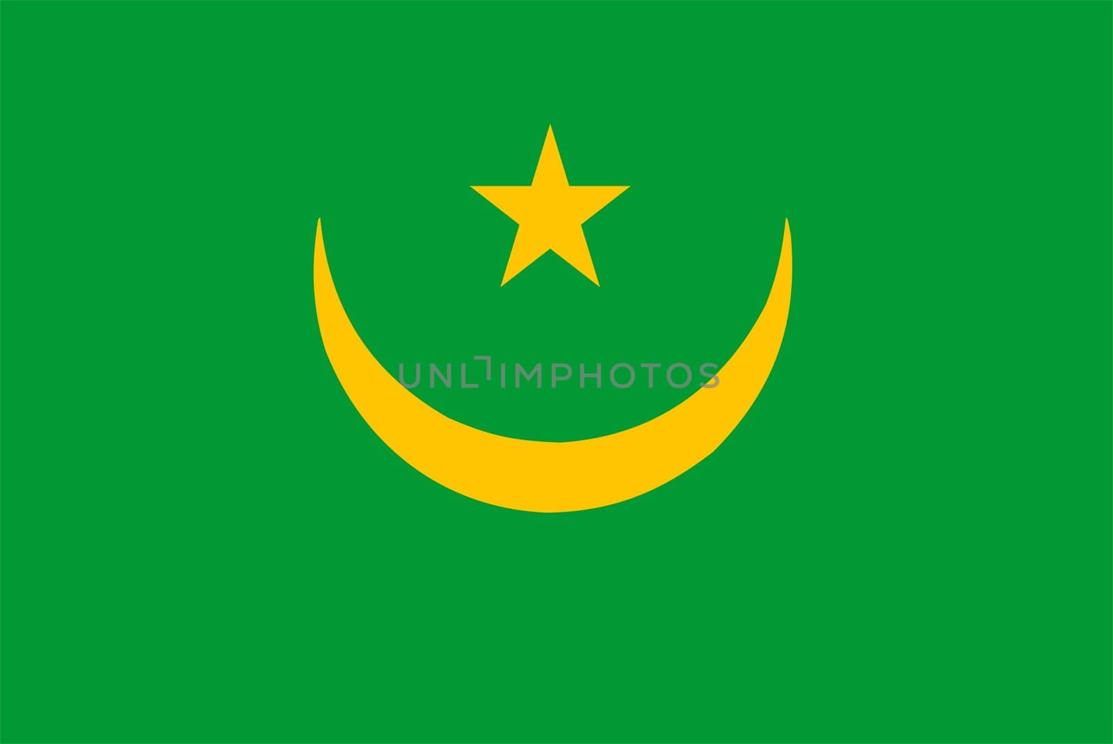 2D illustration of the flag of Mauritania vector