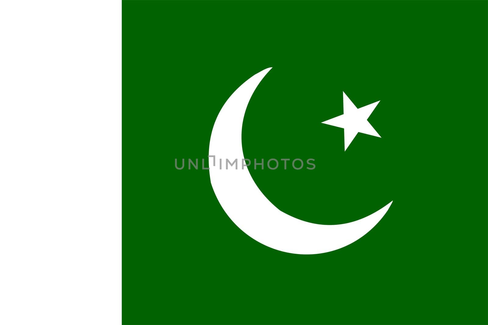 2D illustration of the flag of Pakistan vector