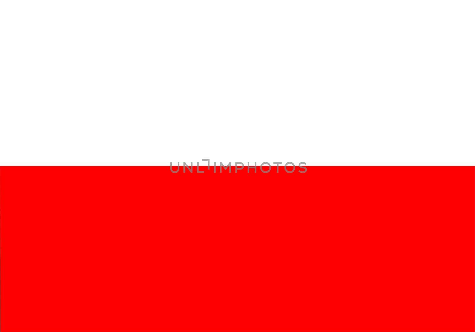 2D illustration of the flag of Poland vector