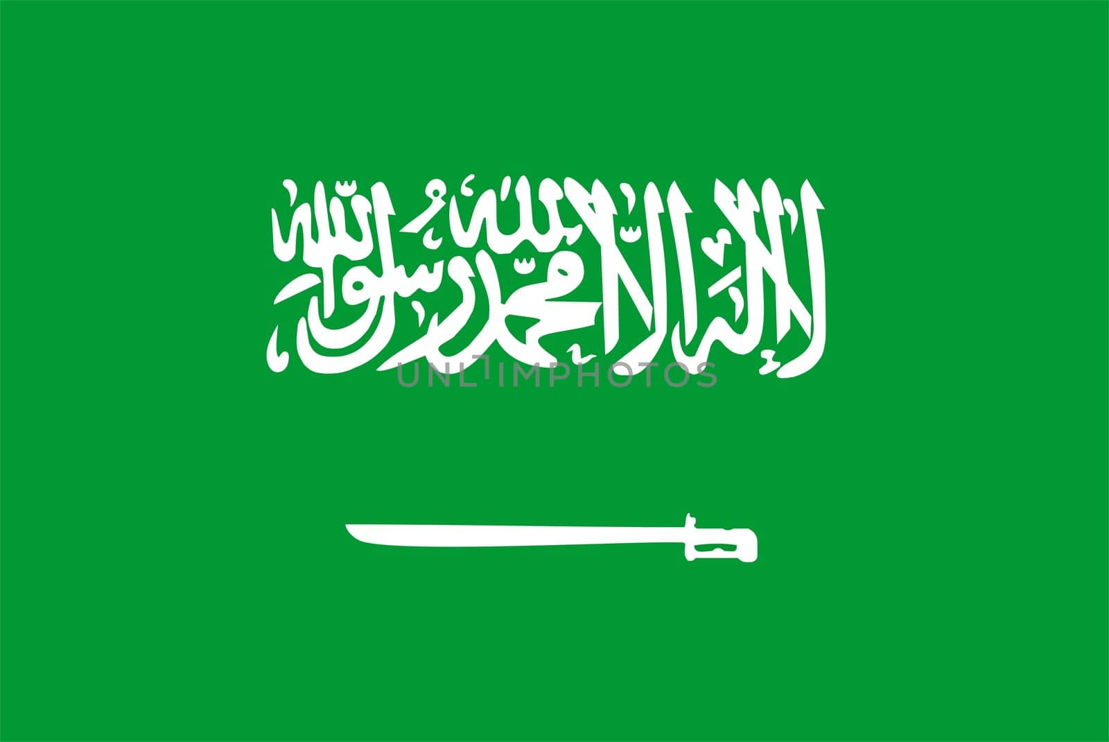 2D illustration of the flag of Saudi Arabia