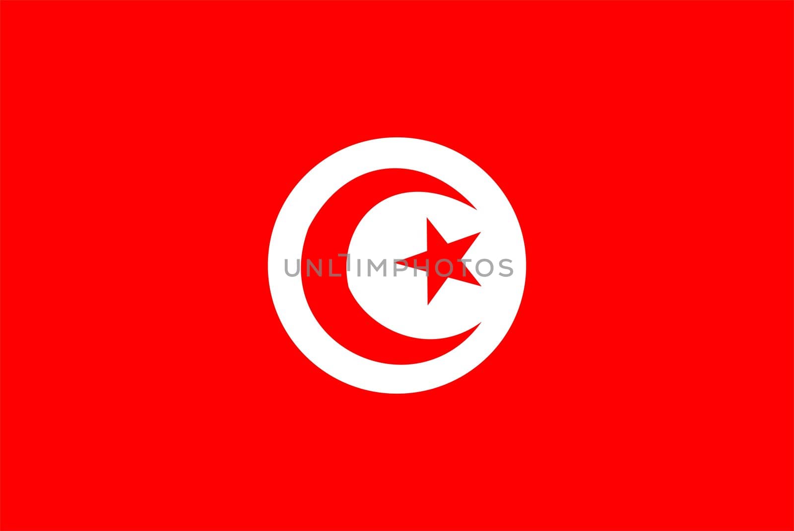 2D illustration of the flag of Tunisia