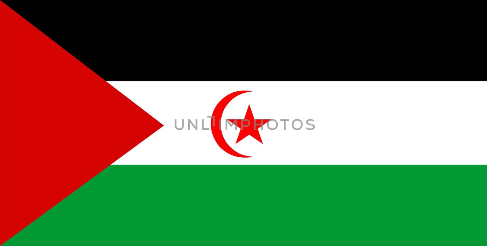 2D illustration of the flag of Western Sahara