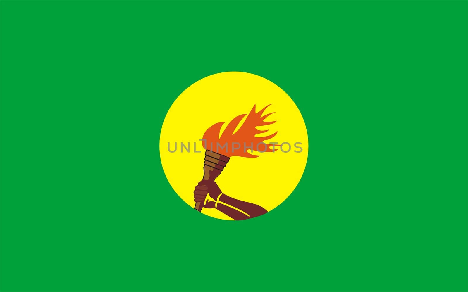 2D illustration of the flag of zaire congo