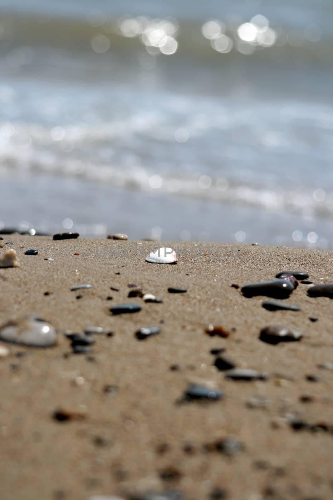 waves breaking on beach covered with shell fragments