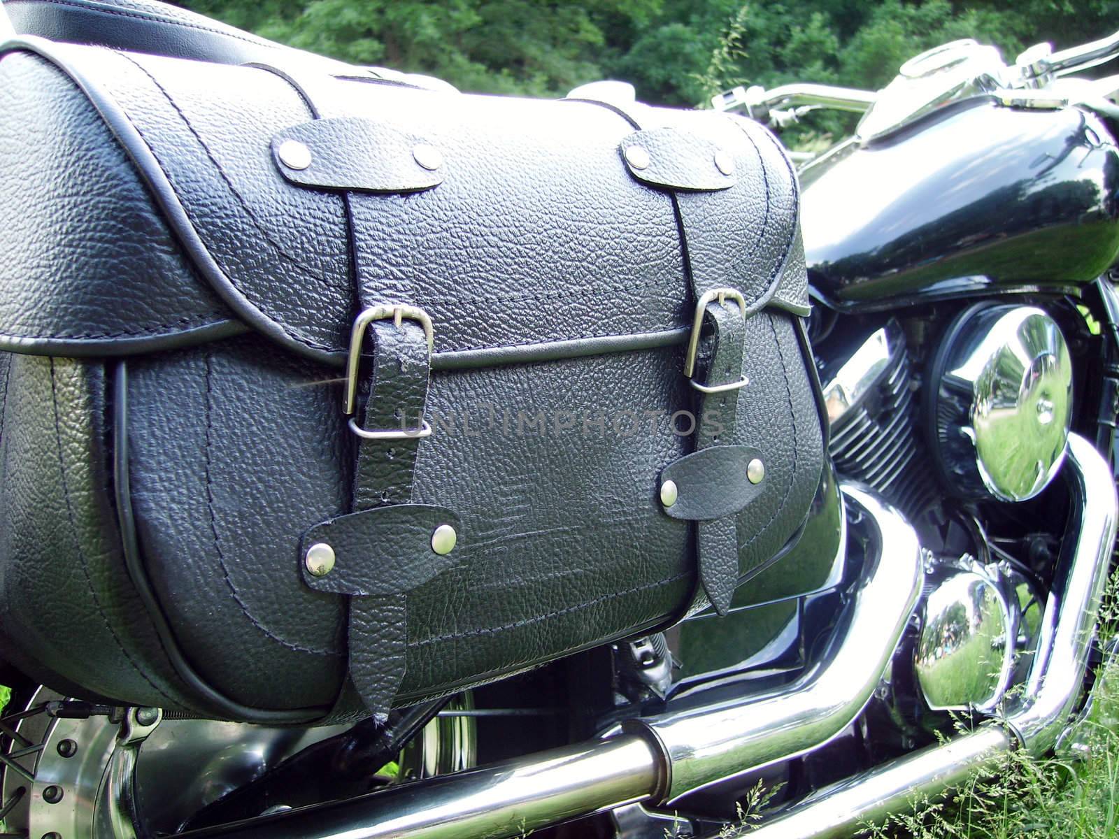 a close detail of a bike bag in natural background