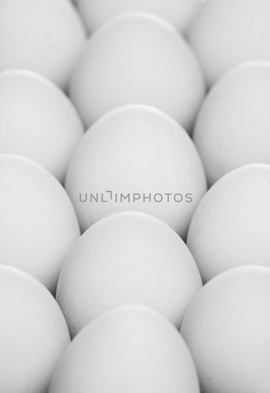 the pack of white eggs