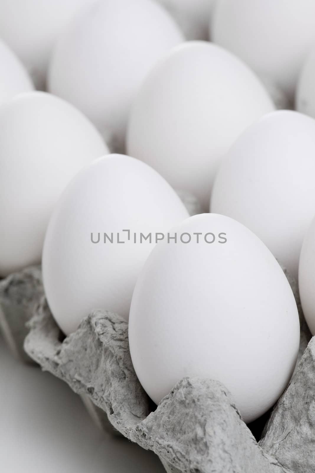 the pack of white eggs