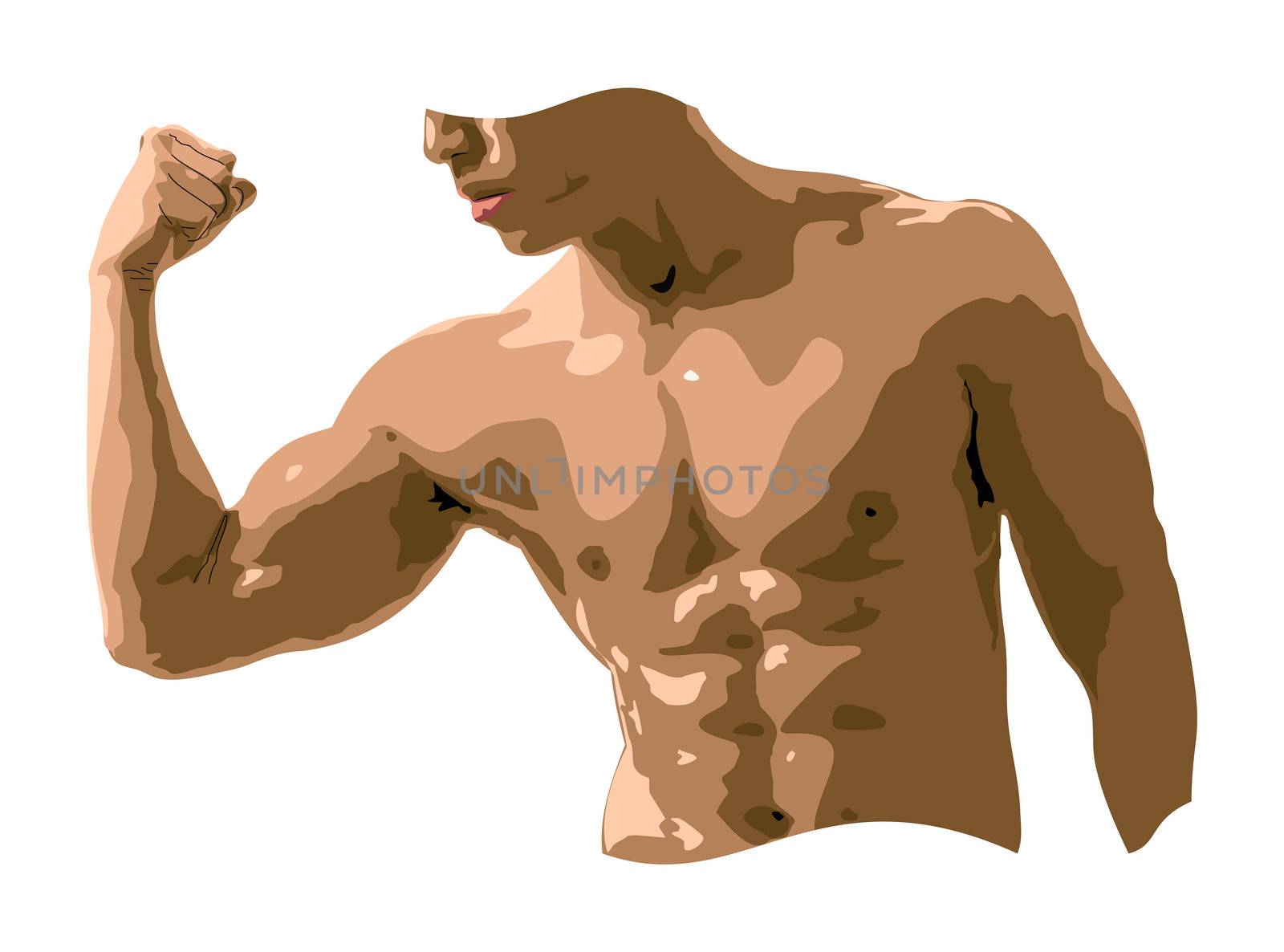 A vector image of a male torso flexing biceps