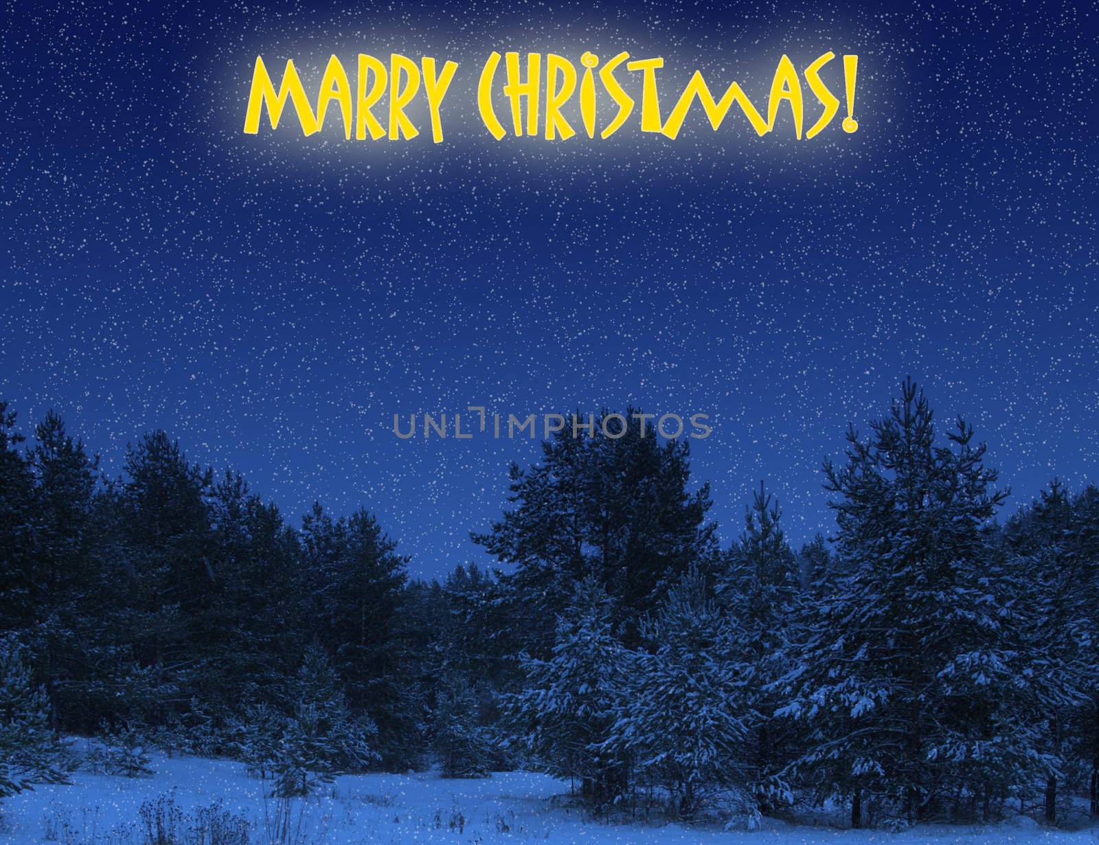 Christmas winter background with dark woods and snow for the congratulations