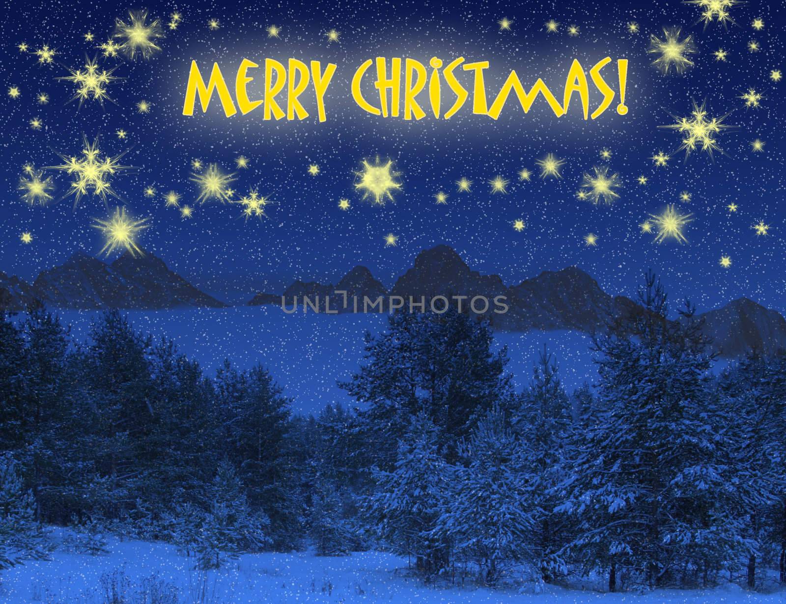 Christmas winter background with dark woods and snow for the congratulations